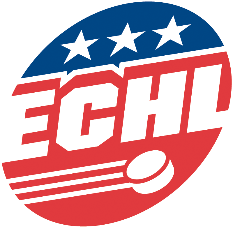 ECHL 2016-Pres Primary Logo iron on transfers for T-shirts